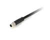 Connection Cable M8 Modbus RTU in/out Straight 5m | Nanotec