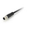 ZK-M12-12-2M-1-AMM