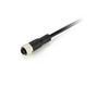 Connection Cable M12 Power Straight 2m | Nanotec