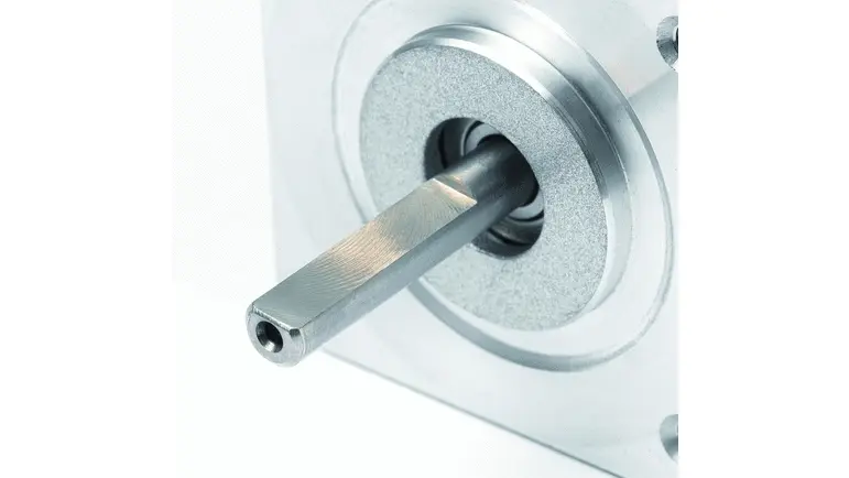 Flat on shaft (D-shaft)